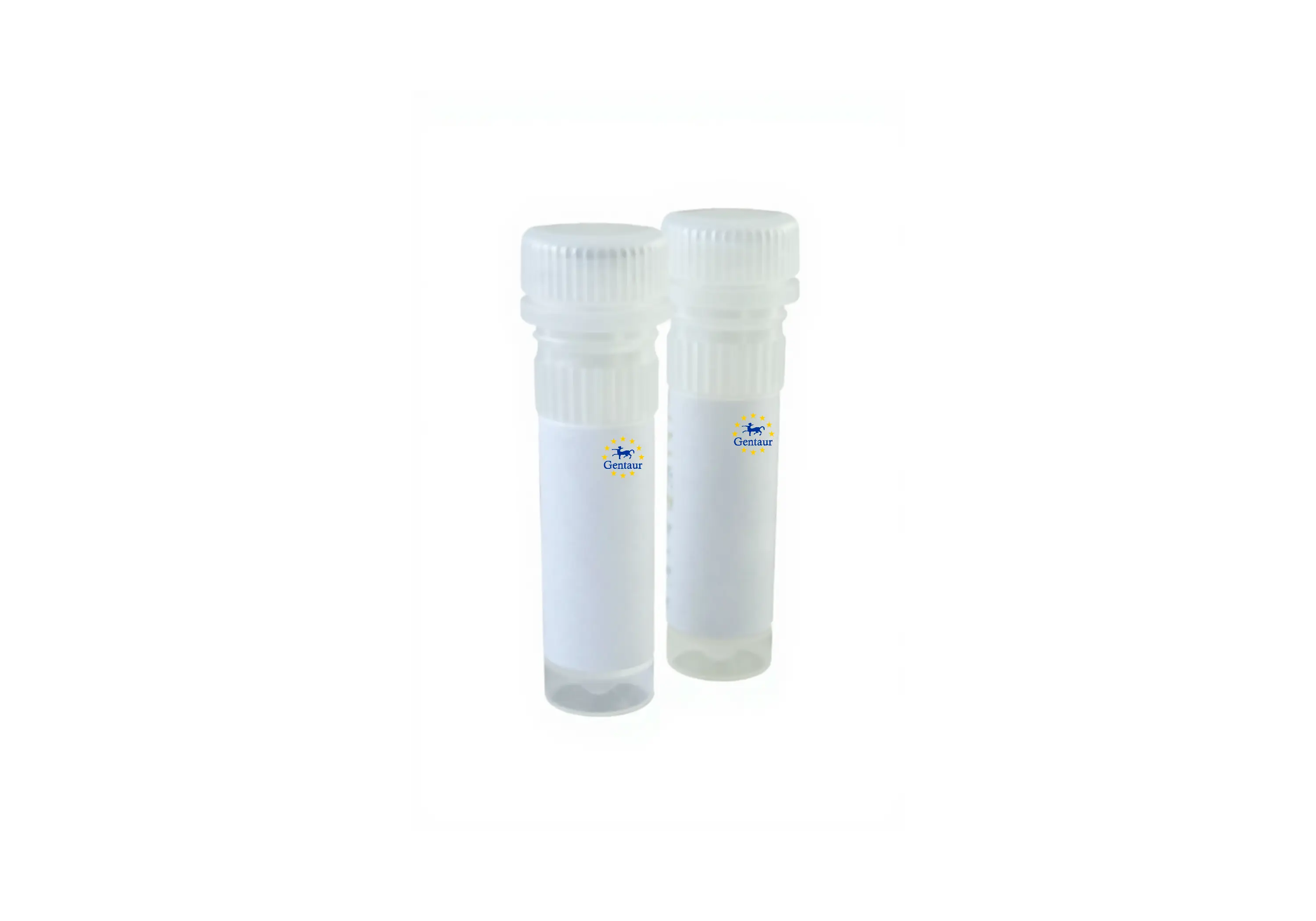  qmax green with non reactive blue tracking dye high rox qpcr mix 1000 reactions